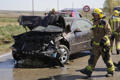 En primer plano dos de las ovejas y al fondo, los dos vehículos contra los que colisionaron.