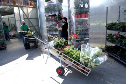 Instalaciones de la empresa leridana de cultivo y comercialización de plantas Horticultura Bellmunt.