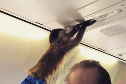 Conductes incíviques