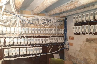 Un empleado de Endesa en una de las plantaciones detectadas.