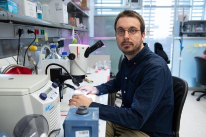 ARNAU SEBÉ PEDRÓS. Desenvolupa una metodologia genòmica que pugui analitzar l'expressió gènica en embrions individuals amb més resolució.