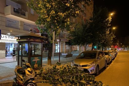 Bomberos en el incendio de vegetación que se originó ayer de madrugada en Vilaplana, núcleo de la Baronia de Rialb.