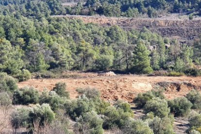 Amos de tres edificacions il·legals les enderroquen a instàncies del Govern