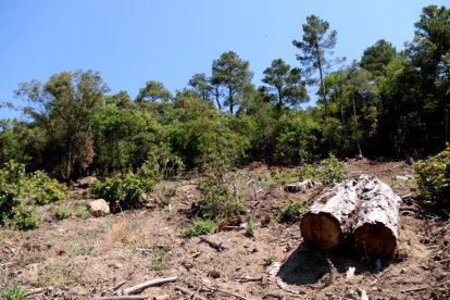 Punts segurs per atacar les flames: els bombers es preparen per fer front a grans incendis a les muntanyes de Prades