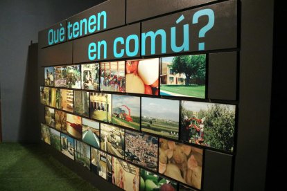 El Espai Cultural dels Canals d'Urgell de Mollerussa se adapta para divulgar la modernización de la infraestructura