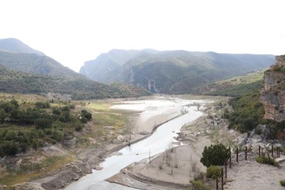 La cola del pantano de Oliana, con huellas de jabalíes.