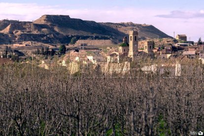 El Consell Comarcal, els municipis, les ajudes i la Covid
