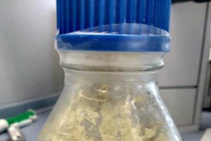 Polifenol per a cosmètica de la biorefineria.