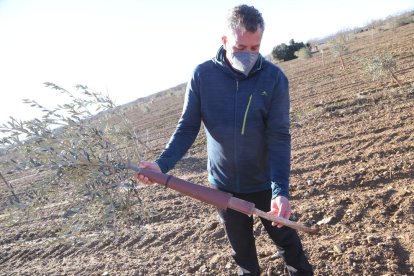 El Ramon, el lloc en el qual estava plantada l’olivera desplomada, que va ser desplaçada pel vent.