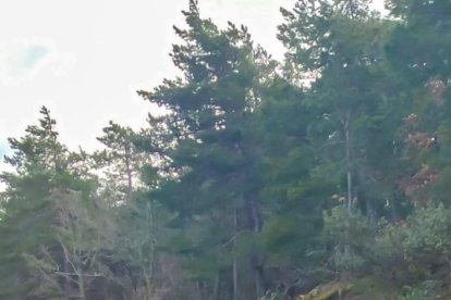 Sergi Jurado, en primer término, durante una competición de triatlón.
