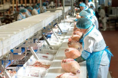 Pla d’igualtat i empresa