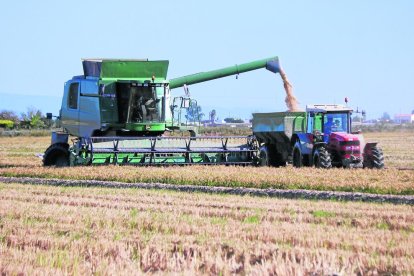 La nova PAC entrarà en vigor l’any 2023.