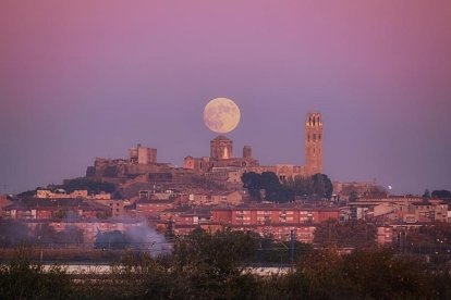 L'influx de la lluna plena en els instagramers de 'Cercle'