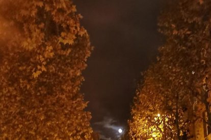 L'influx de la lluna plena en els instagramers de 'Cercle'