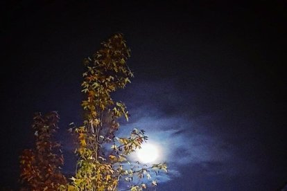 L'influx de la lluna plena en els instagramers de 'Cercle'