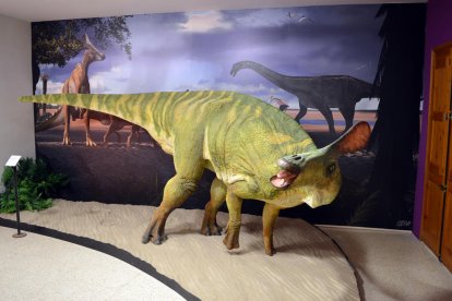 El dinosaurio de Isona con los restos fósiles recuperados hasta ahora y fotos del fémur y el arco hemal.