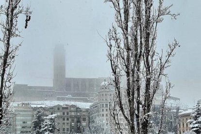 La Seu Vella de blanco