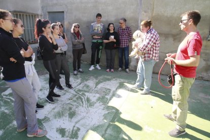 La cuidadora dóna instruccions de com tractar i cuidar un gos que està en adopció.