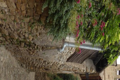 patrimoni. Àger té molt per oferir, com la col·legiata de Sant Pere, que domina el poble.