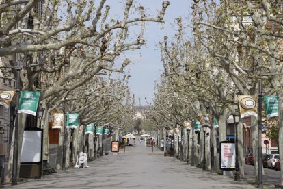 Imatge d’esperança de l’Associació Alba de Tàrrega.