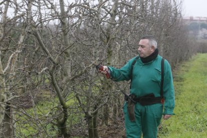 Imatge de les eleccions agràries celebrades el 2016.