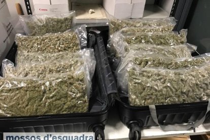 Les bosses amb marihuana que la detinguda portava a la maleta intervinguda pels Mossos.