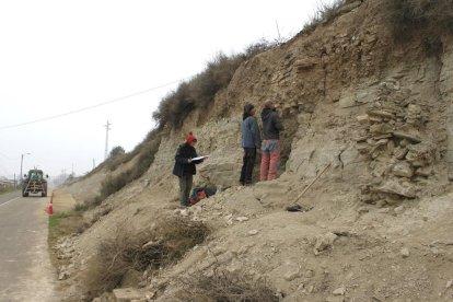 Prospecció arqueològica entre Tàrrega i el Talladell, ahir.