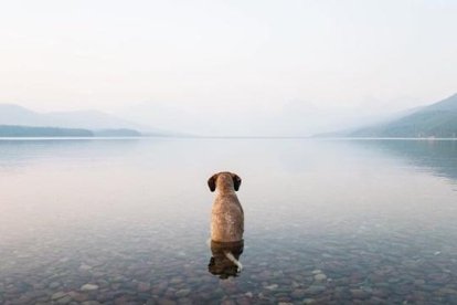 ‘Celebrities’ de 4 potes