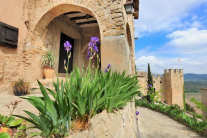 El castell de Montsonís.