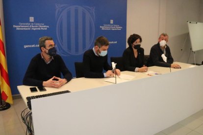 La sequera augmenta els danys provocats pels conills a l'agricultura a la vegueria de Lleida