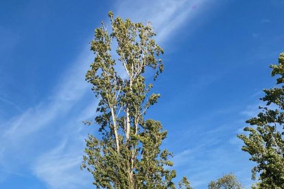 Foto de familia de alumnos de Psicología, que hicieron las novatadas la semana pasada.