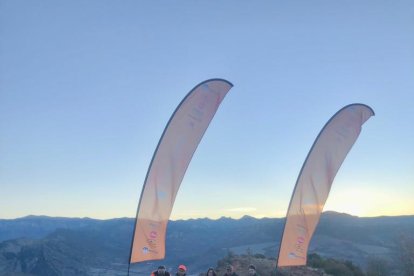 Imagen de los jabalíes abatidos en una cacería en el coto de Areny.
