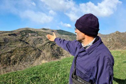 Crit d'alerta dels ramaders del Pirineu per un suposat atac del llop al Pallars Jussà