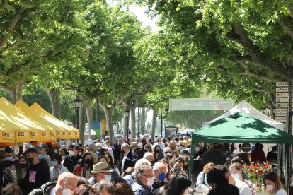 El Sant Jordi del retorn a la normalitat