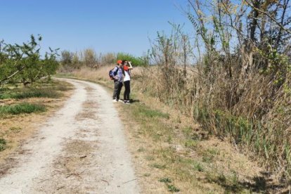 La casa rural municipal en el centro de Aitona.