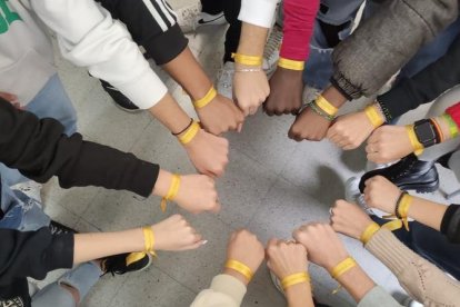 Alumnos del INS Guindàvols de Lleida este viernes.