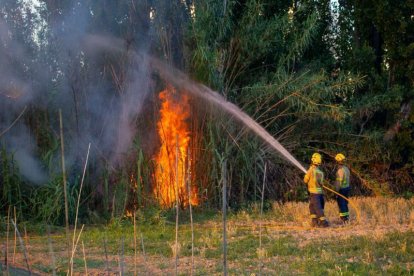 Alarma per un incendi al camí de Marimunt de Lleida