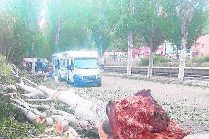 La Pobla de Segur. La tormenta del jueves también arrancó grandes árboles en el área vacacional de la Pobla. Ayer fueron retirados.