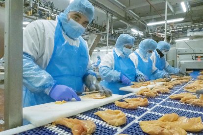 Imatge de la cadena de muntatge de l’empresa a Guissona.