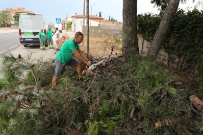 La brigada municipal de Alcarràs retirando ayer una rama que cayó a causa de la tormenta.