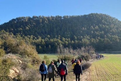 La salida de la Cursa de l’Orelleta en Castellnou de Seana.