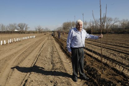 Francesc Xavier Miarnau, ahir en una de les finques plantades en sistema intensiu