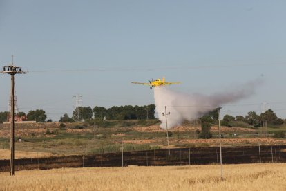 Un incendi a prop de les vies del tren, ahir al Camí de Granyena de Lleida.