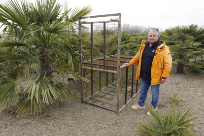 A la izquierda, los daños en la tierra de la finca de palmeras y, a la derecha, Xavier Samarra con una jaula para capturar jabalíes.