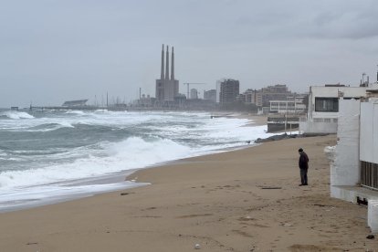 Una llevaneu netejant ahir la carretera N-260 al seu pas per Sant Pau de Segúries (Girona).