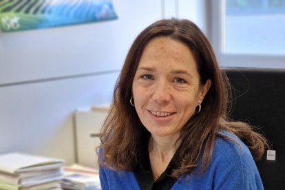 El Govern supervisa las inspecciones técnicas que hacen las estaciones.