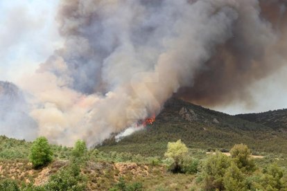 Incendio forestal en Baldomar