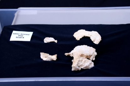 Apareixen fragments d'un crani de neandertal a l'Abric Romaní, la primera resta humana després de 40 anys d'excavacions