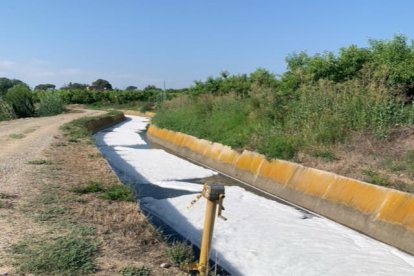 Inici del torn de reg que acaba aquest cap de setmana, el 6 de juliol passat, a Miralcamp.