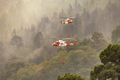 Efectius de la Unitat Militar d’Emergències (UME) proven d’apagar les flames d’un focus de l’incendi a Tenerife.
